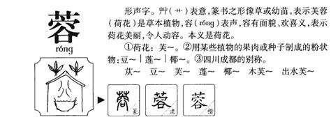 蓉名字意思|蓉名字的文化內涵